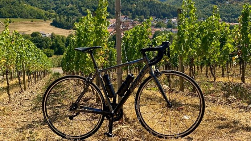 The best Bike & Wine Tasting Tours in Croatia